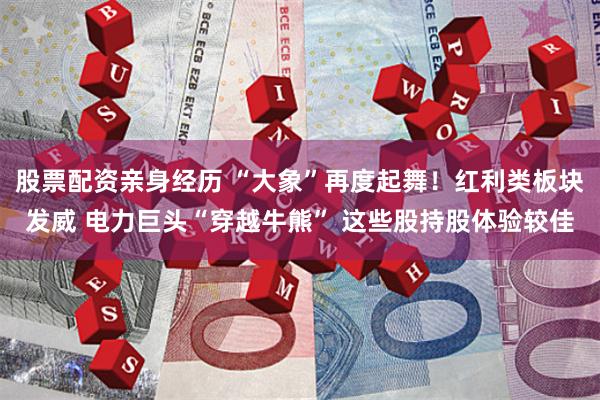 股票配资亲身经历 “大象”再度起舞！红利类板块发威 电力巨头“穿越牛熊” 这些股持股体验较佳