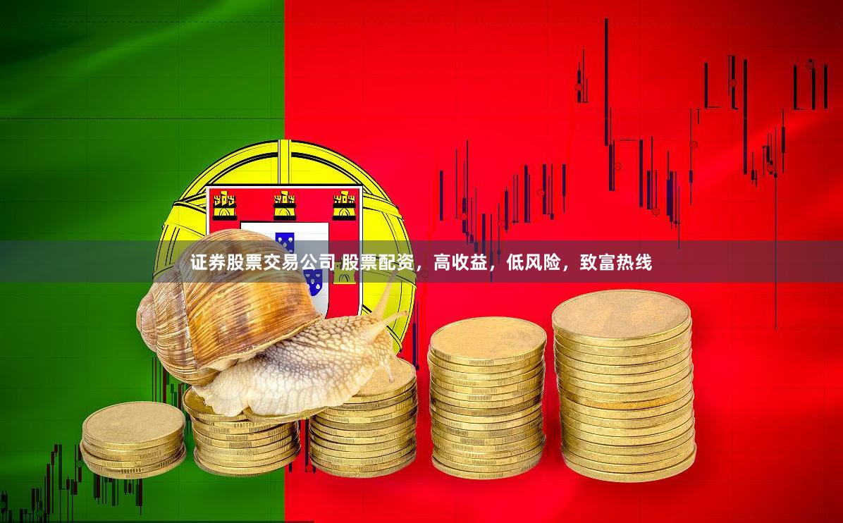 证券股票交易公司 股票配资，高收益，低风险，致富热线